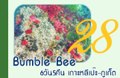Bumble Bee 6วัน5คืน ไม่รู้ ยิ่งสนุก และทำได้