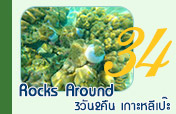Rocks Around: เกาะหลีเป๊ะ